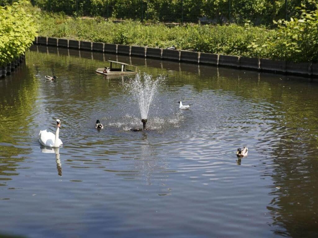 Mosselbank 83 Comfortable Holiday Residence Ouddorp Bagian luar foto